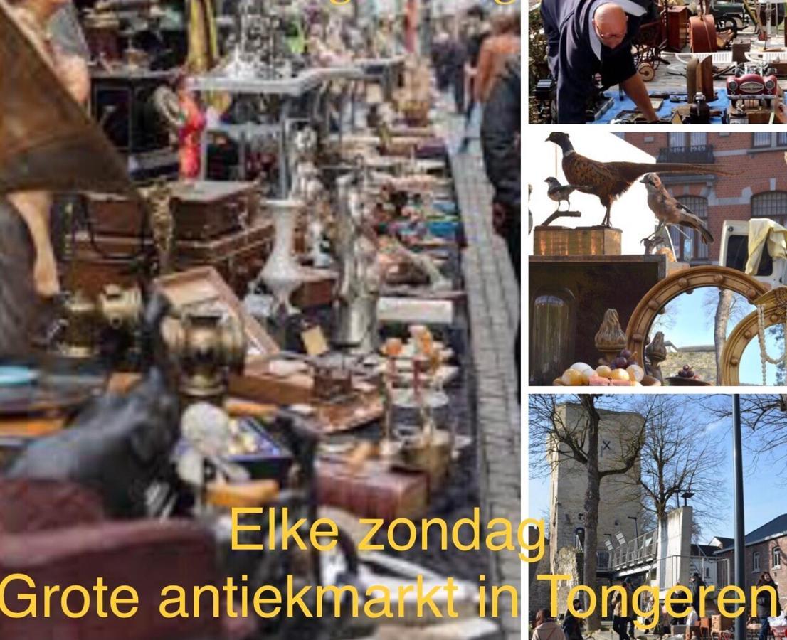 Vakantiehuisje Vds Tongeren Zewnętrze zdjęcie