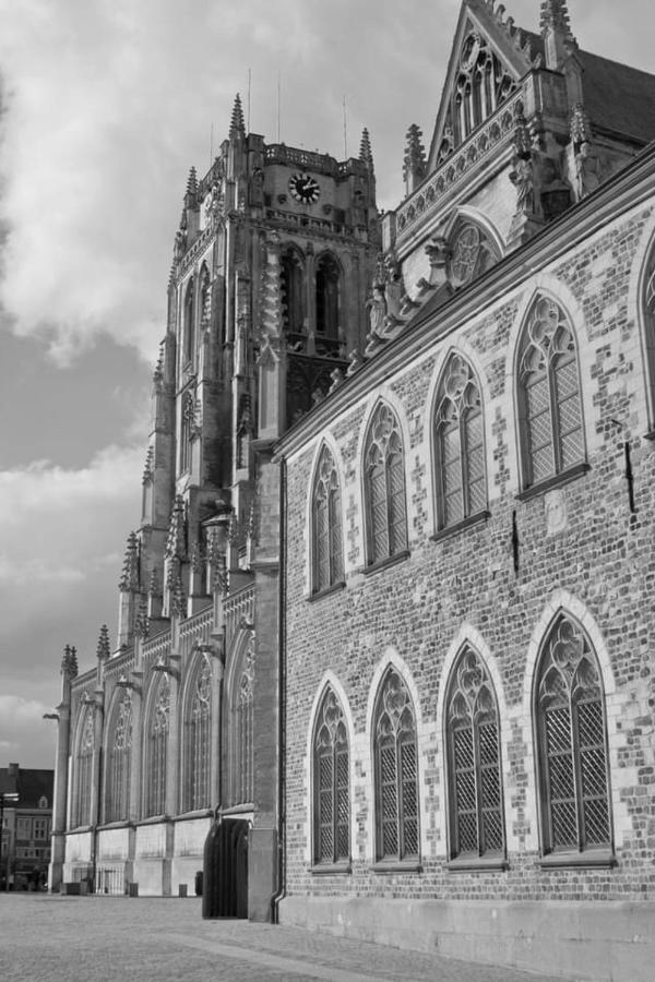 Vakantiehuisje Vds Tongeren Zewnętrze zdjęcie